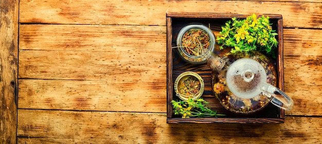 Herbal apothecary collection with various botanical specimens